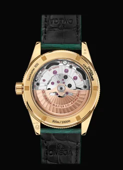 Seamaster 300 Co‑Axial Master Chronometer 41 mm