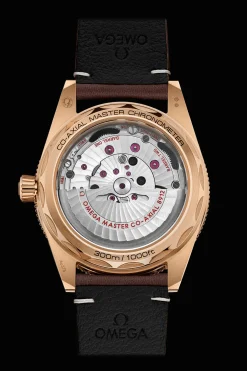 Seamaster 300 Co‑Axial Master Chronometer 41 mm