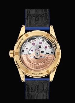 Seamaster 300 Co‑Axial Master Chronometer 41 mm