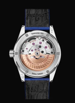 Seamaster 300 Co‑Axial Master Chronometer 41 mm