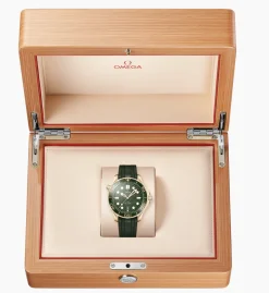 Seamaster Diver 300M