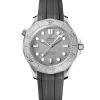 Seamaster Diver 300M
