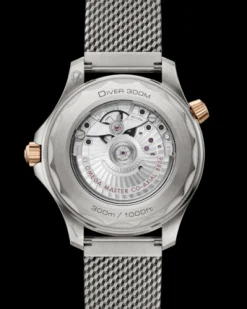 Seamaster Diver 300M