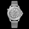 Seamaster Diver 300M