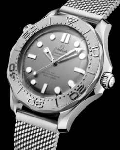 Seamaster Diver 300M