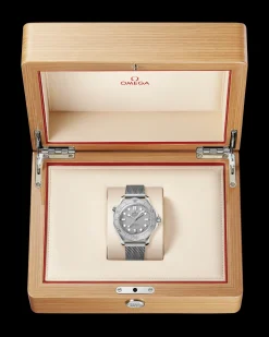 Seamaster Diver 300M