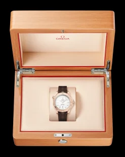Seamaster Diver 300M