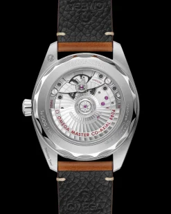 Seamaster Railmaster