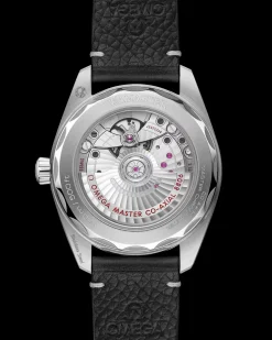 Seamaster Railmaster