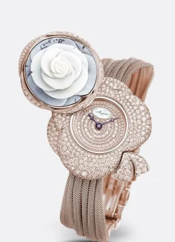 Secret de la Reine GJ24BB8548DDCJ99