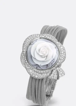 Secret de la Reine GJ24BB8548DDCJ99